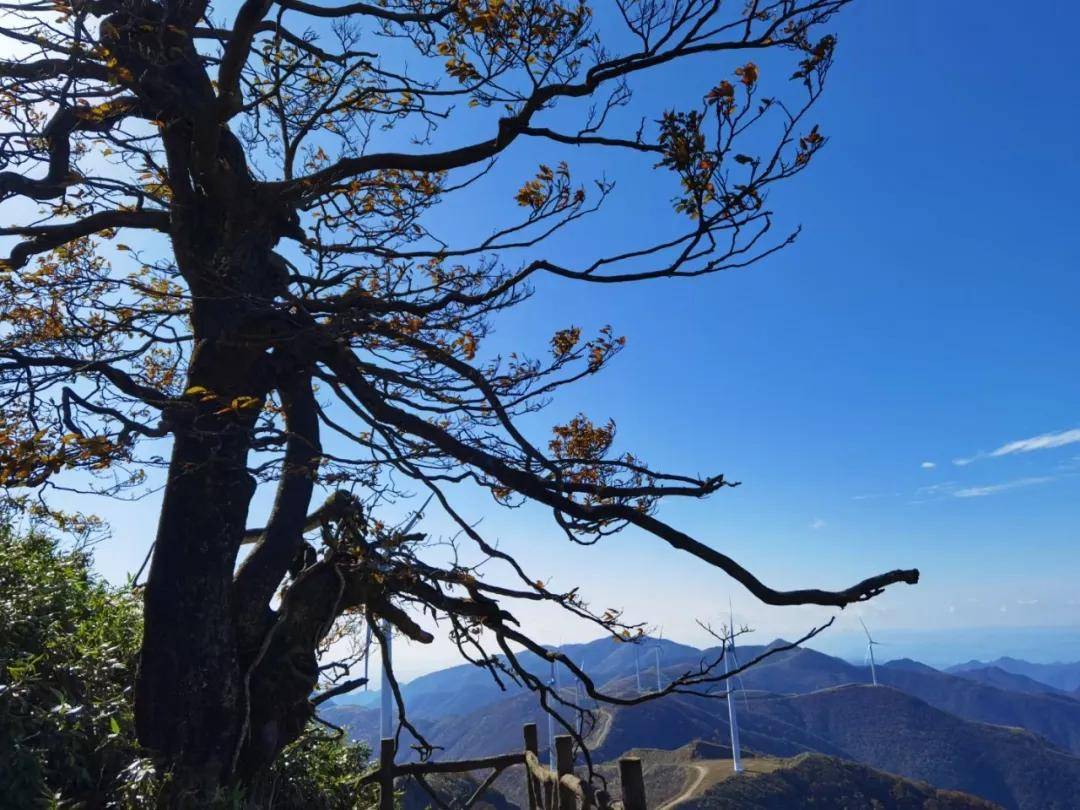 大熊山|蚩尤故里 天然氧吧 | 邂逅大熊山,聆听蚩尤与春姬的爱情故事