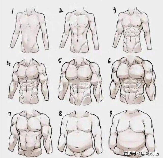 运动|男生拥有好身材会更受欢迎，9种常见的身材，看看自己属于哪种？