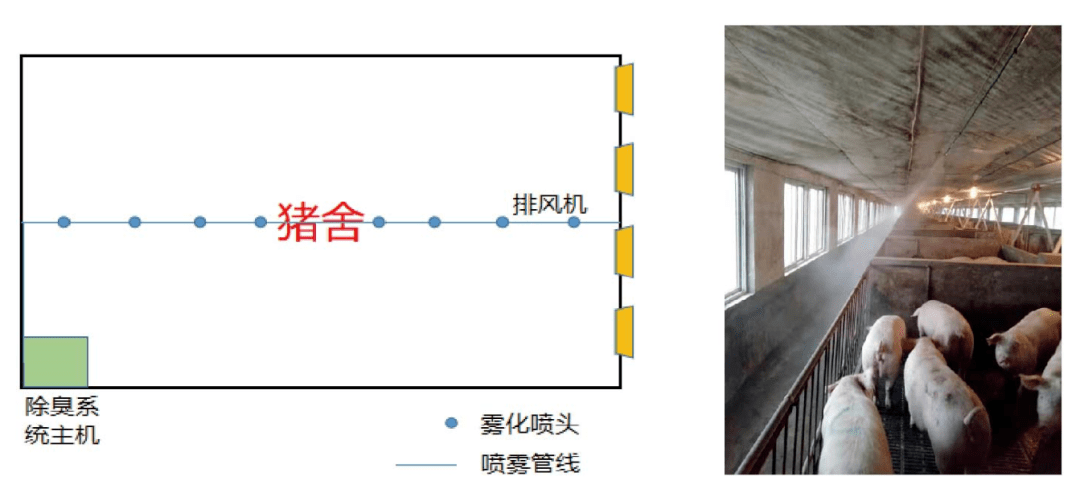 385cf8952f3a4f77917a72cf266a8cdb.png
