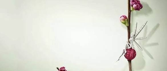 珠宝|梵克雅宝胸针艺术展，从彩宝中塑造珠宝的美，教你如何戴胸针！