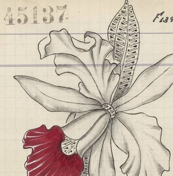 珠宝|梵克雅宝胸针艺术展，从彩宝中塑造珠宝的美，教你如何戴胸针！