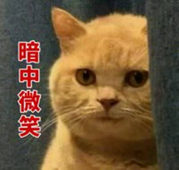怎么才能让小猫迎接主人回家 e4aac9e5a54545d78a7467d34f37d81a.jpeg