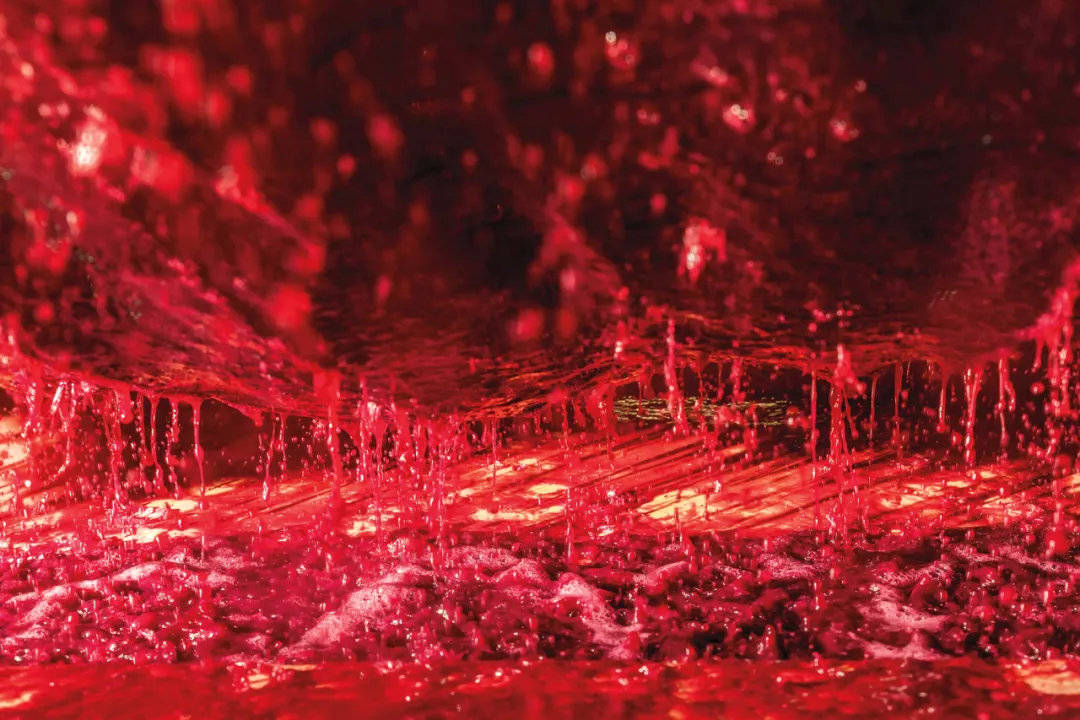 葡萄|博若莱只有新酒?大错特错