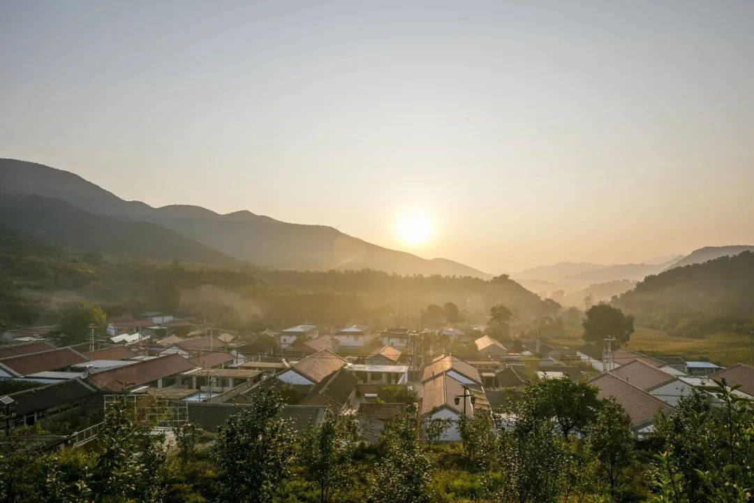 小米|150天修炼期只为这一碗米油浓稠小米粥延庆山地小米十月秋收