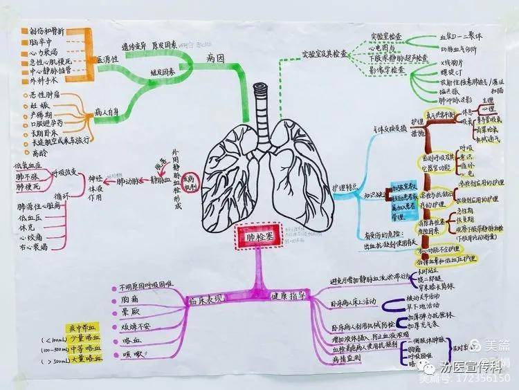 本次护理查房从这两幅肺栓塞的思维导图开始.