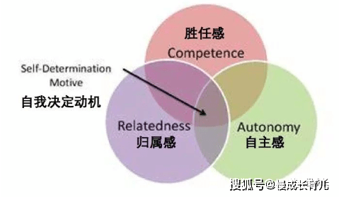 感让孩子自主决定自己的行为,而所谓胜任感让孩子觉得他可以做得到