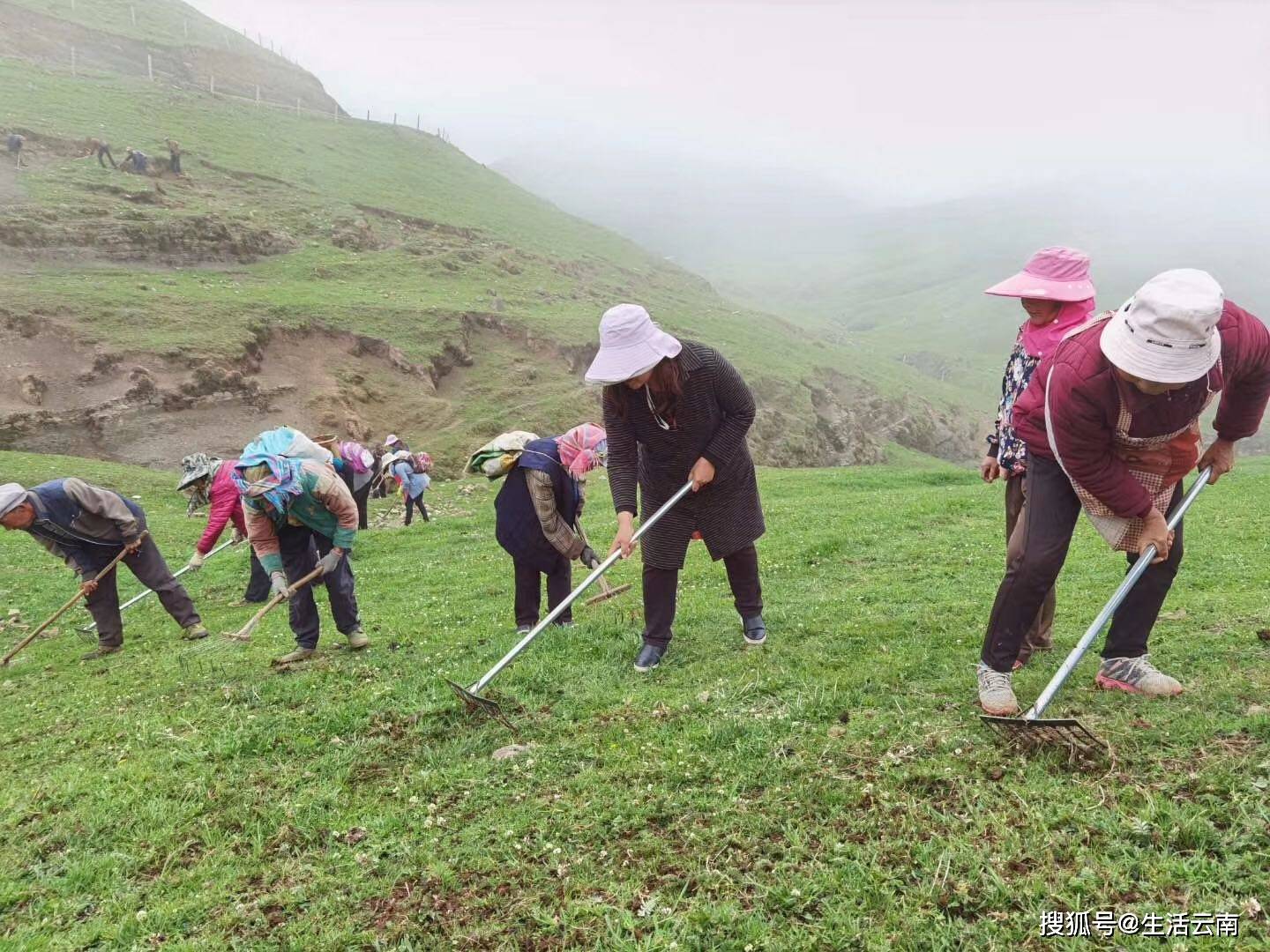 会泽县退化草原生态修复人工种草试点监理项目完成验收工作