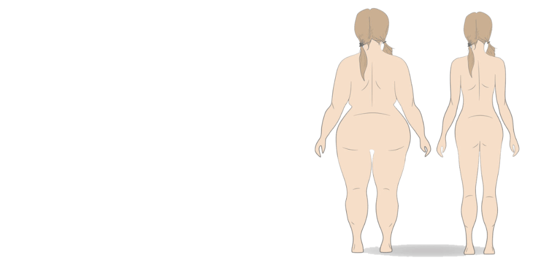 623ede7fec7b426ea0b9290a26a1cd8c.png