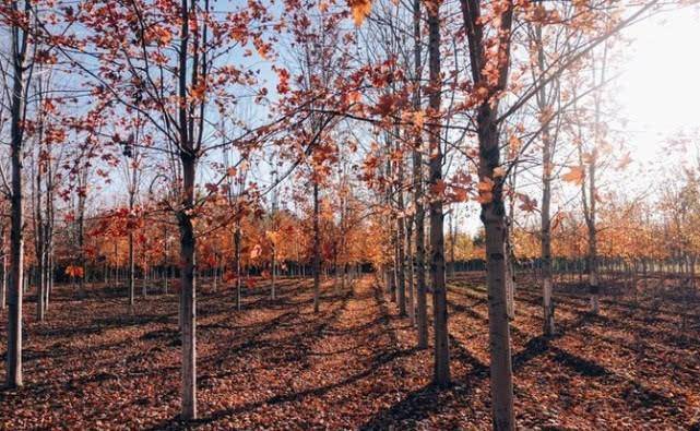 昆明新一线城市2020_昆明想要成为新一线城市,要和这个地级市实现一体