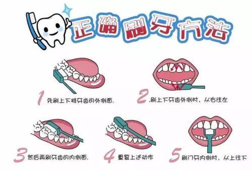 如何正确使用牙刷和牙膏 a4e3a8cc02984d6381b20316bd2d9893.jpeg
