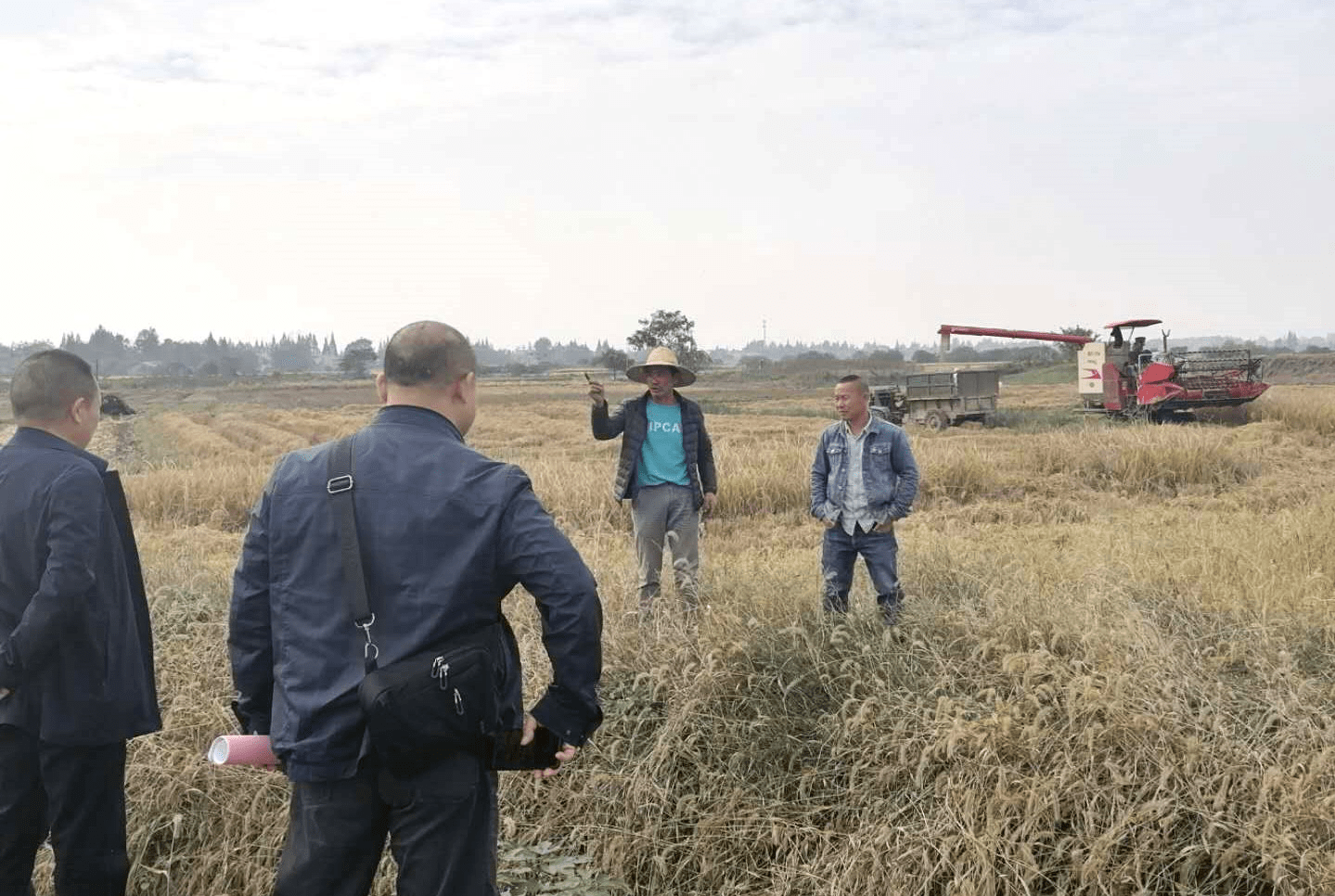 秸秆禁烧政策谁建议的啊 d7f926c610974636a27b8ee5b092c42f.png