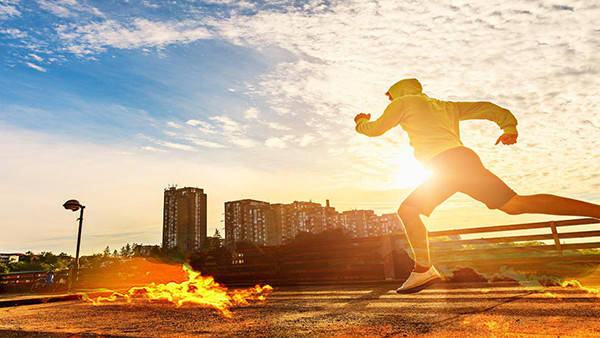 企业|龙池牡丹 | 让“盛世之花”在高质量发展中绽放光彩