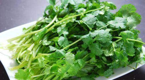 啥菜能消炎 cd368e9a71e74571a7352f55a2ba333b.jpeg