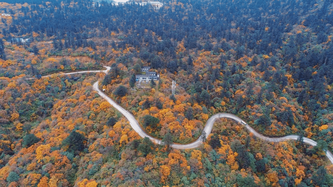 现在去刚刚好!乐山这条"最美盘山公路"火了,沿线风景惊艳朋友圈!