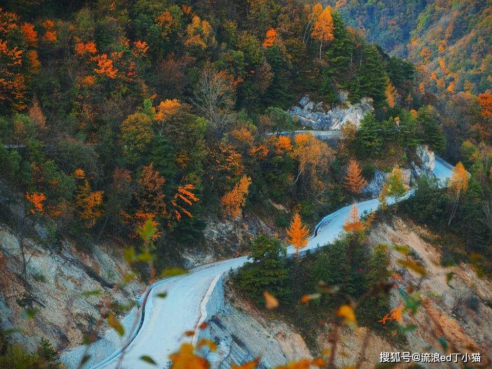 陕西宝藏级赏秋地，有生之年一定要这样走一遭！只有当地人才知道_红叶