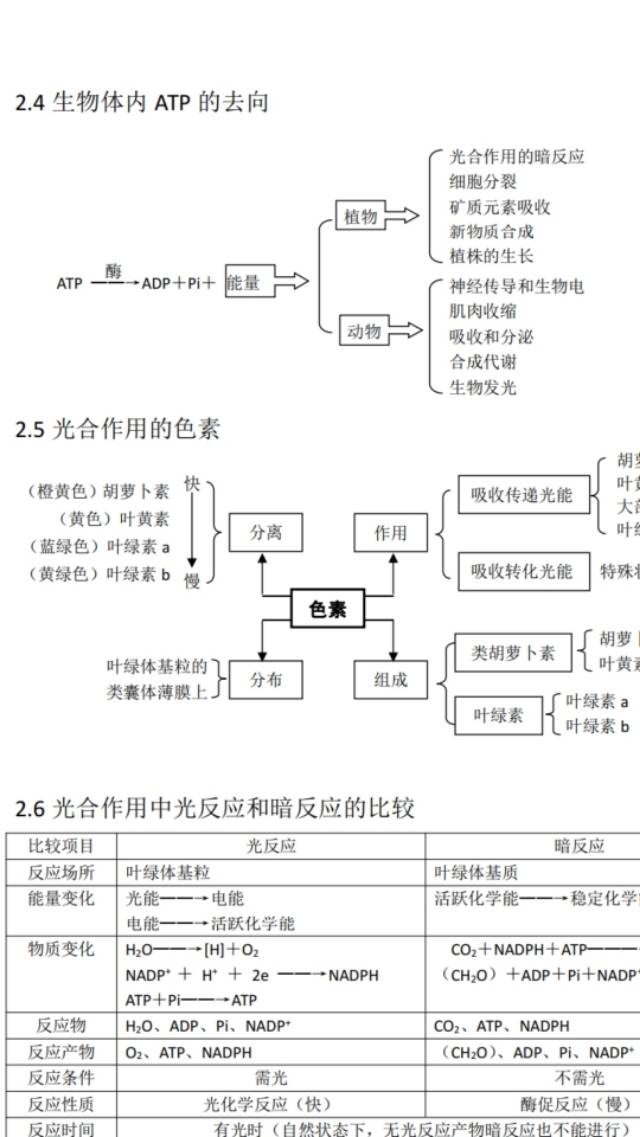 930f85835faa4d9d8f0edf9bcd24d7f8.jpeg