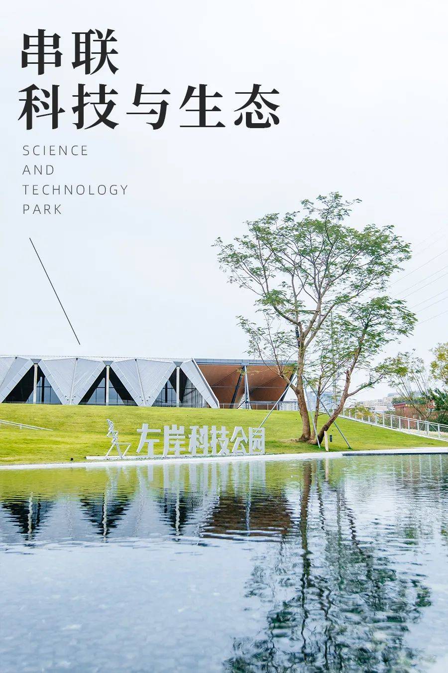 别挤深圳湾了！超火河岸公园，藏着一片金色“灯光秀”！_科技