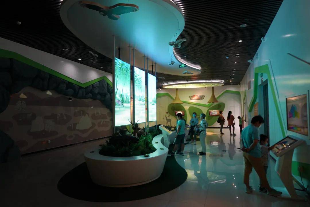 头盖骨|北京西南郊小山包 为何成为世界文化遗产