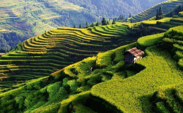 2020年云南省排名前_2020年世界旅游地排名,中国唯一一个省份上榜,比四川