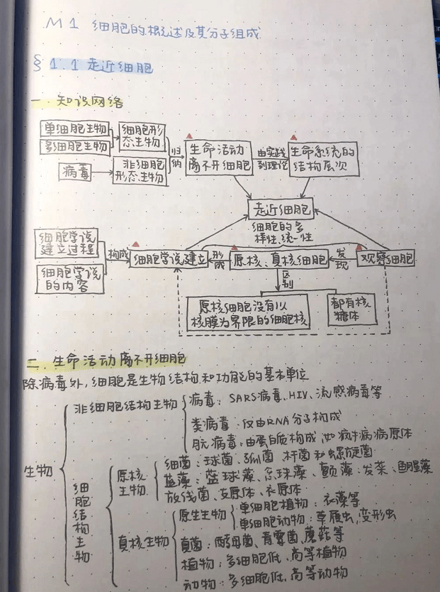 记笔记|怎样高效记笔记？我们找了22份“学霸笔记”来观察