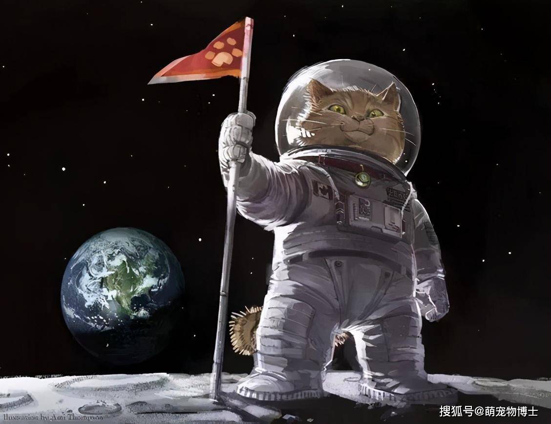 第一只进入太空的猫咪宇航员