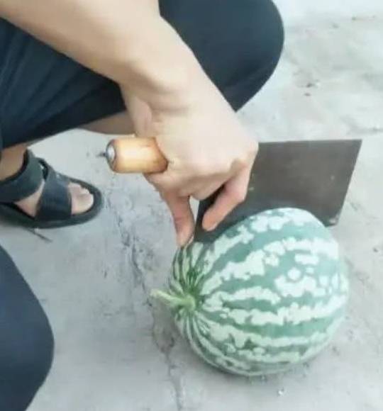 972365ea3b4648278514323dd31a8fdf.jpeg