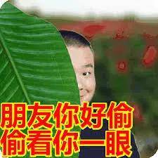 老脸|金晨谈恋爱也太尴尬了！节目组卖力撮合个寂寞……这张不老脸就能胡作非为吗？