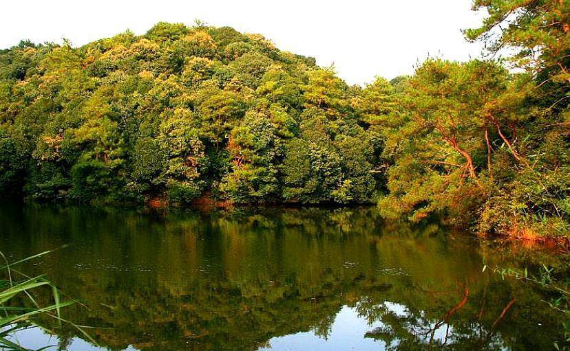 芜湖各区县2020年上_芜湖未来最吃香的区县,不是弋江区,也不是镜湖区,而是这个地方