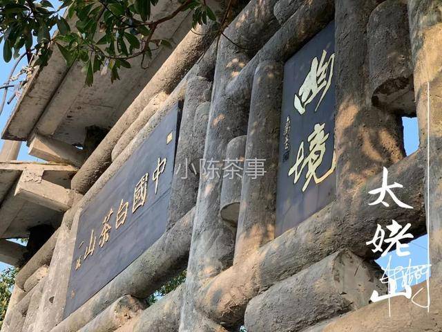 云南茶农人口_云南茶农采茶图