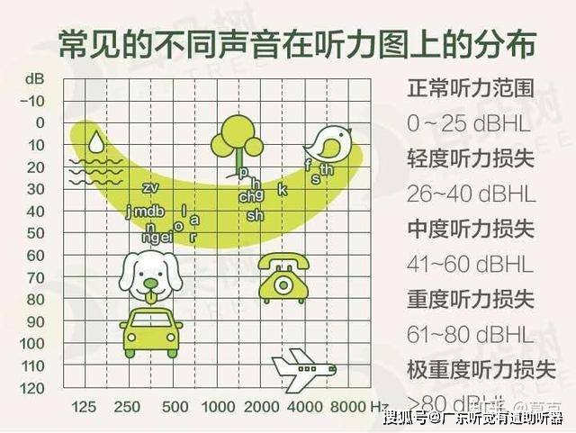 听觉康复的评估标准