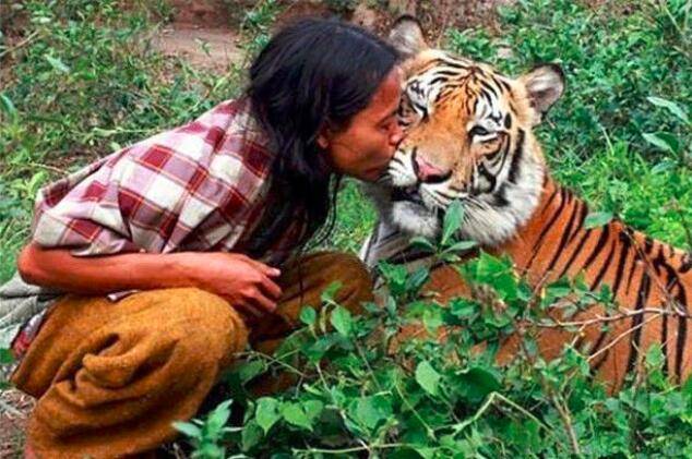 三十的女人像老虎 fa29d62143e34ca48446150698ddb018.jpeg