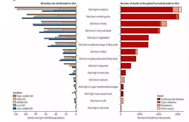 排名脂肪_内脏脂肪(2)
