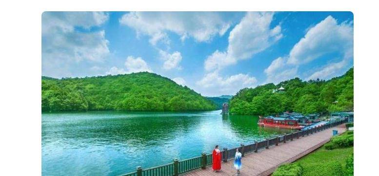 武汉市经济总量占湖北的比例_湖北武汉市图片(3)