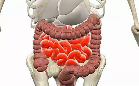 慢性结肠炎的4大症状,你知道吗?