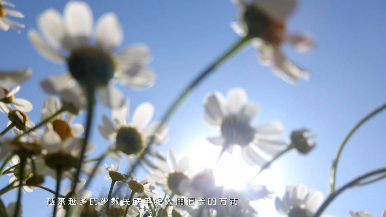 自拍|vivo S7前置拍摄4K大片，为自拍创作赋予更多可能