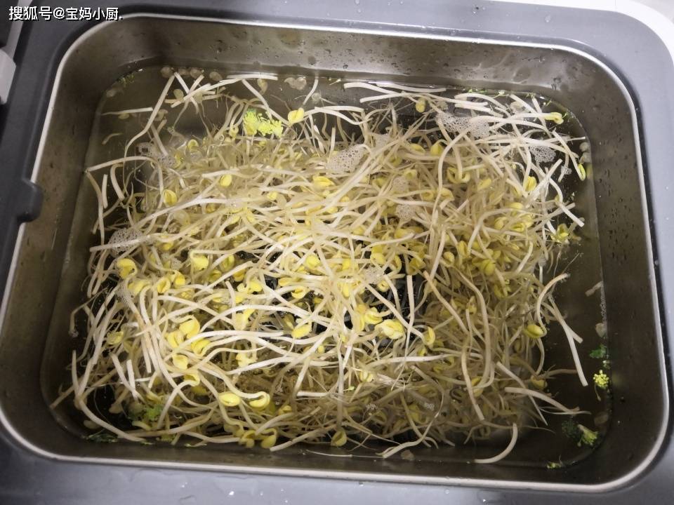 怎么种豆芽 31373f2f17cc42c3b96df31860509d78.jpeg