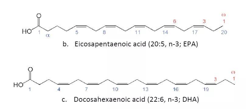 二十碳五烯酸(eicosapentaenoic acid,简称epa)和二十二碳六烯酸