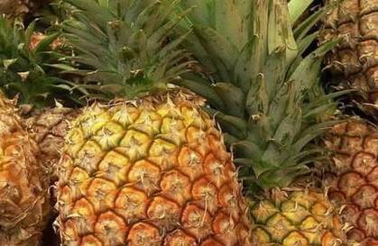 菠萝为什么要用盐水浸泡下 44627c3168e5402299c6ff08972b9629.jpeg