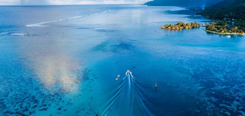 一生|提前批“水”很深，别因“贪这些便宜”而误了孩子一生