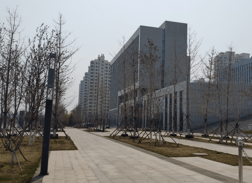 2020年财务管理专业_财务管理专业培养方案