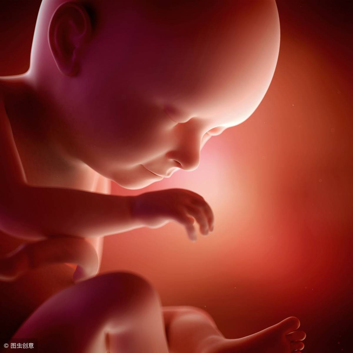 胎儿在子宫里长什么样？胎儿1-40周胎儿发育全过程，妈妈真伟大_体重