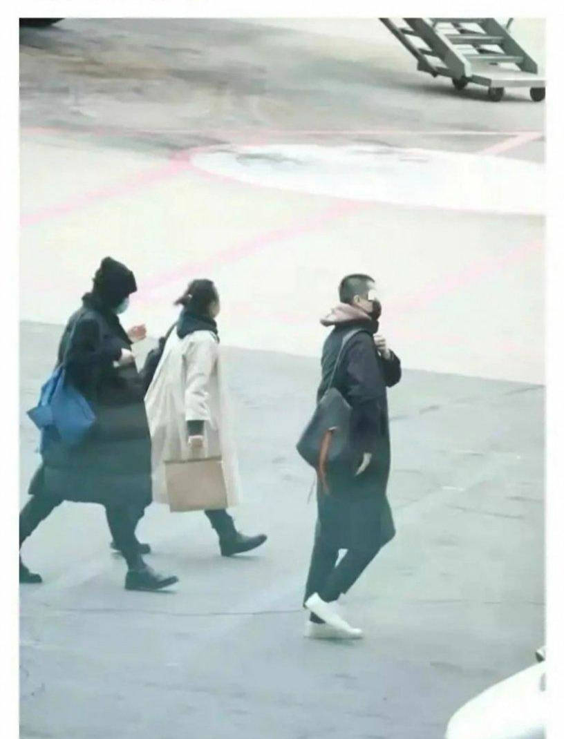 王菲与小鲜肉频繁同框 谢霆锋独坐西湖听歌