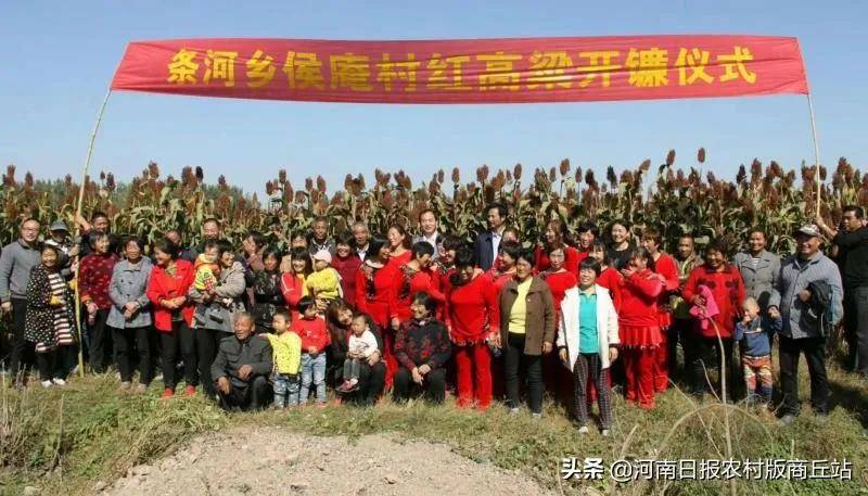 以精准扶贫推进乡村振兴—永城市条河乡侯庵村驻村第一书记夏伟工作