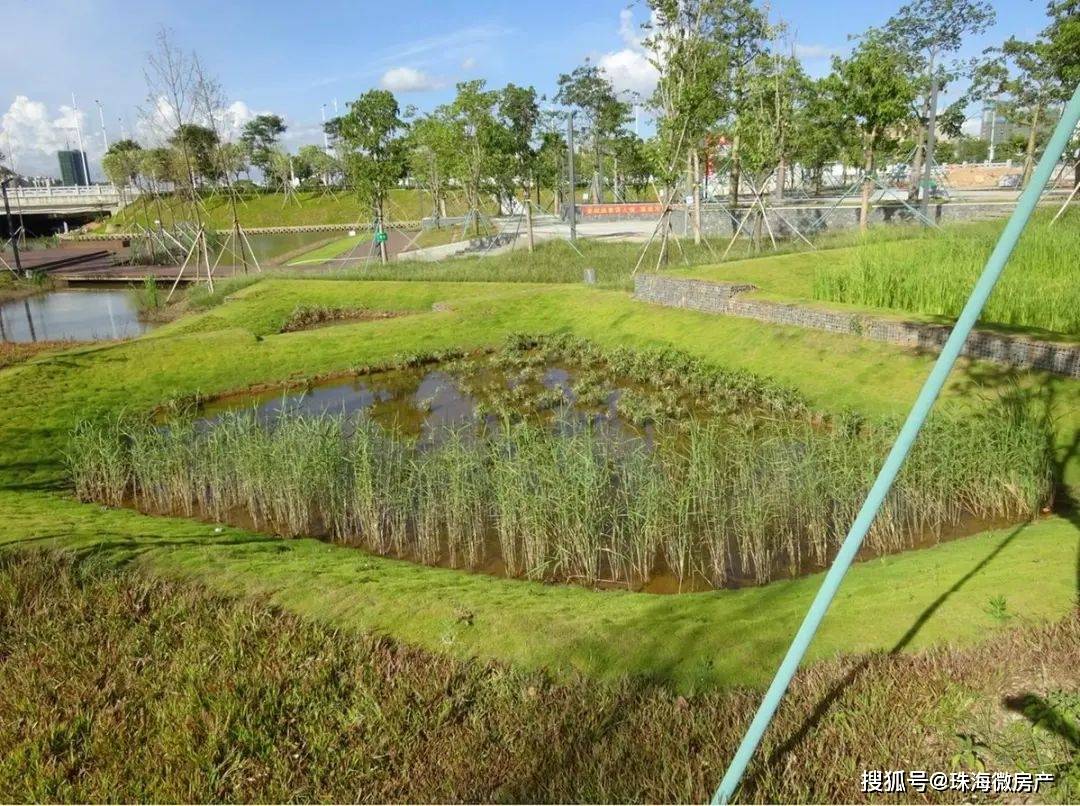 其余区域雨水通过河道两侧坡地上的植被缓冲带汇入下沉