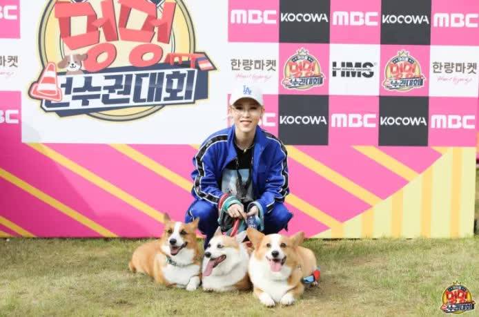 韩国综艺排名2020_9月韩国人最喜欢的电视节目排行榜公布,刘在石携3档综(2)