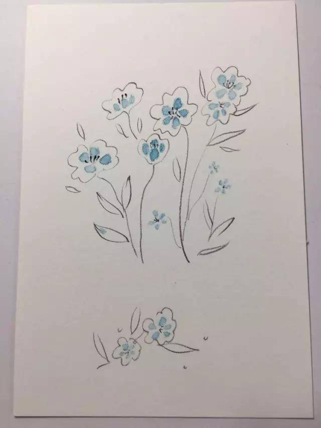 适合初学者临摹的画|既简单又好看的彩铅画(附全套彩铅视频教程)