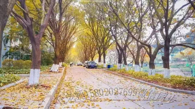 2020年中国MBA院校30强排名_2020年中国MBA院校30强排名,清华经管第2,人大商学