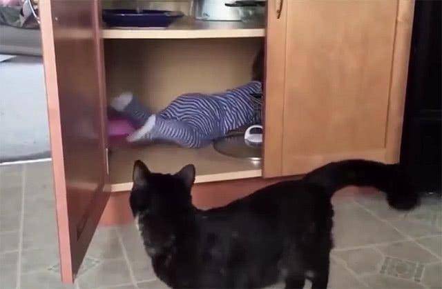 小猫爬门 c3737e6569354cf399b66fdb1f8efa67.jpeg