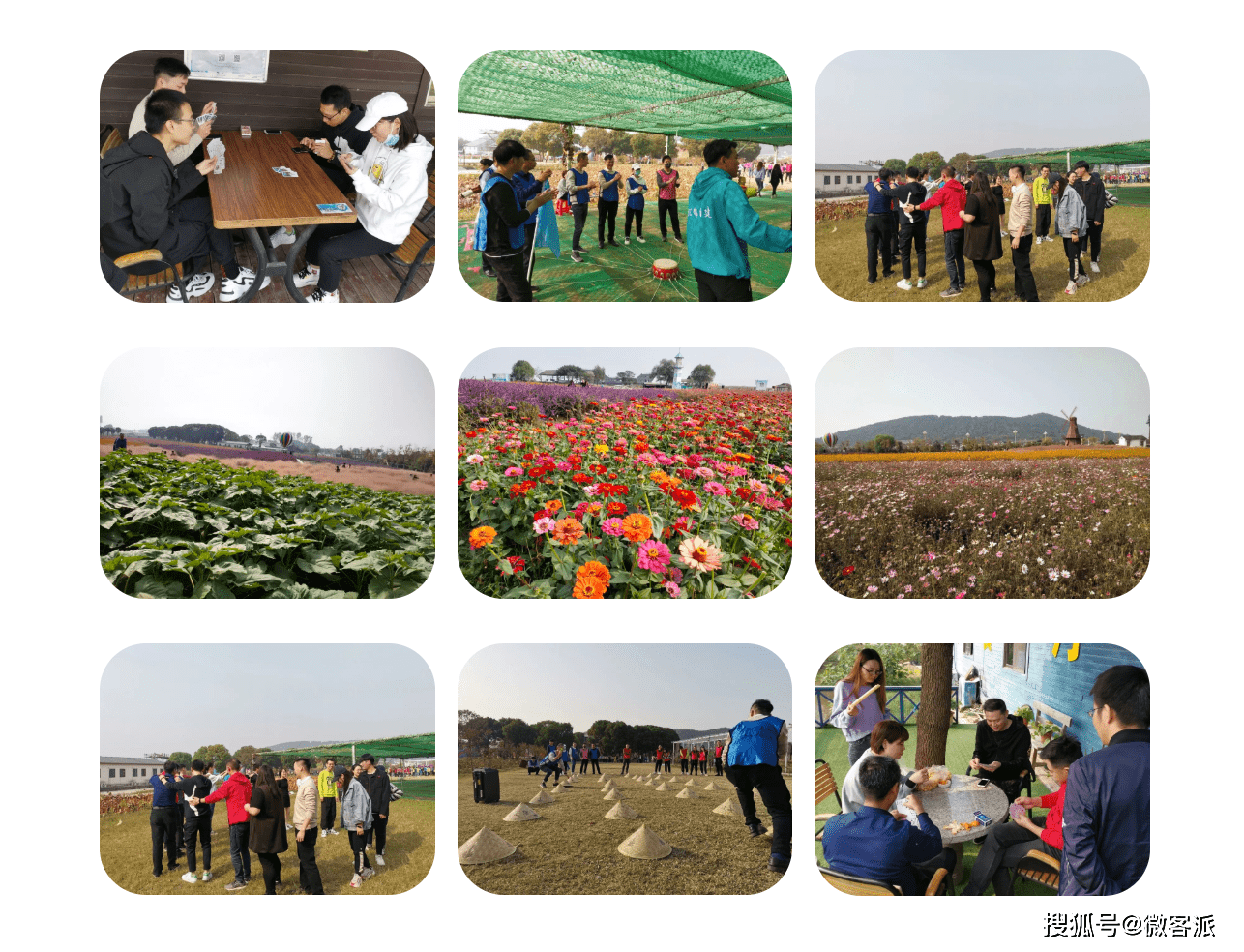 2020年微客排名_泰晤士高等教育2020年世界大学声誉排名