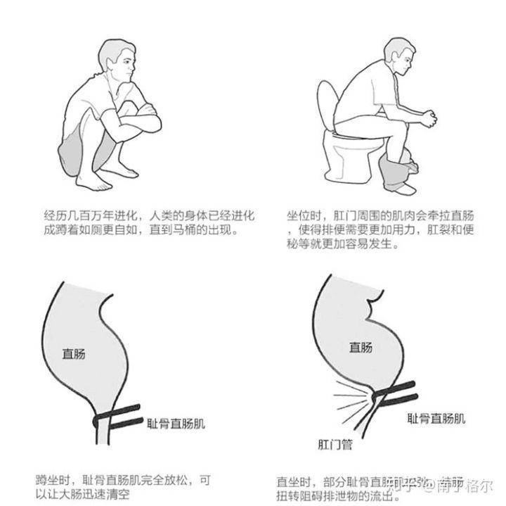 1e6ece4533f642528ba25f849fab71fc.jpeg